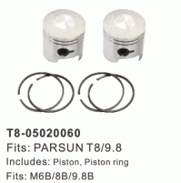 2 STROKE - PISTON, PISTON RING & BEARING  - PARSUN T8/9.8 - TOHATSU M6B/8B/9.8 - T8-05020060 - Parsun
